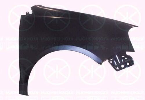 Kotflügel vorn rechts ohne Blinkerloch passend für VW Polo 9N Bj. 05