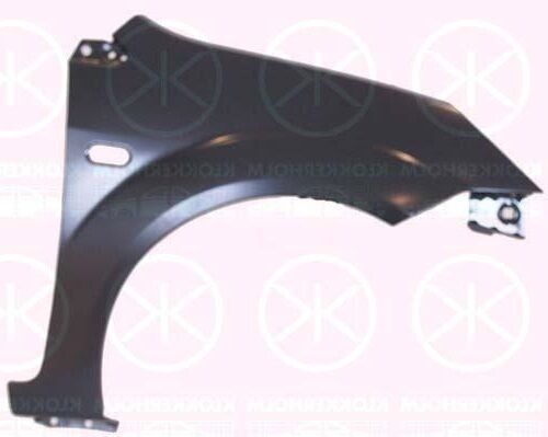 Kotflügel vorne rechts mit Blinkerloch passend für Ford Fiesta Bj. 01