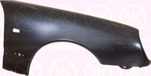 Kotflügel vorn rechts mit Loch für Blinker passend für Mercedes W210 95-99 